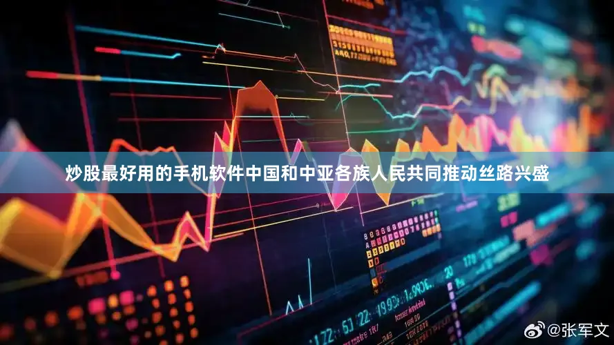 炒股最好用的手机软件中国和中亚各族人民共同推动丝路兴盛