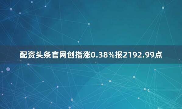 配资头条官网创指涨0.38%报2192.99点