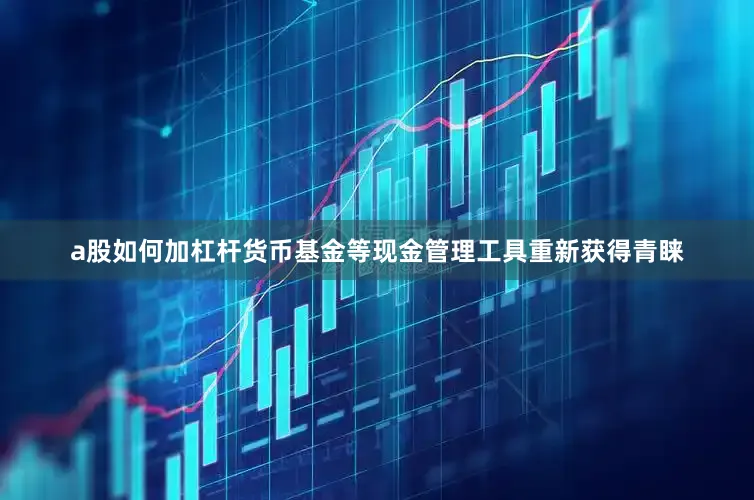 a股如何加杠杆货币基金等现金管理工具重新获得青睐