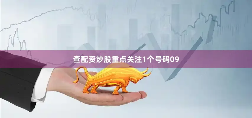 查配资炒股重点关注1个号码09